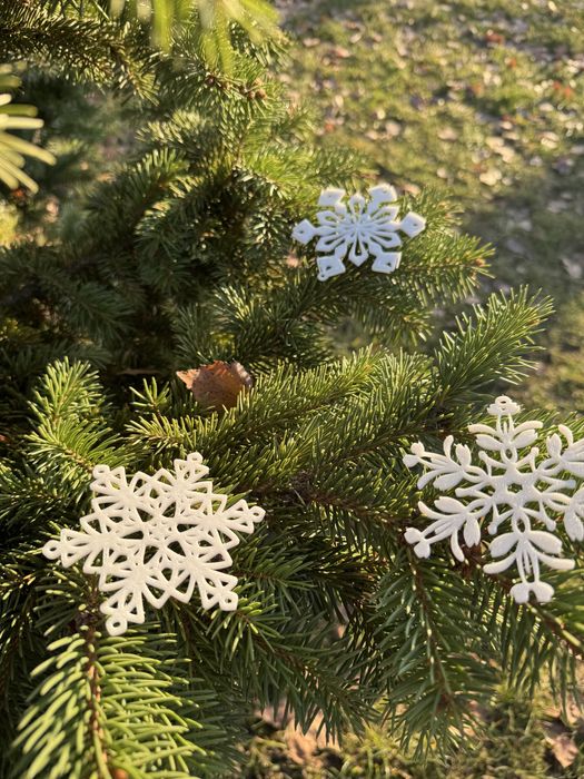 Іграшки на ялинку. Сніжинки. Ціна за 10