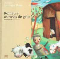 7306

Romeu e as Rosas de Gelo
de António Mota