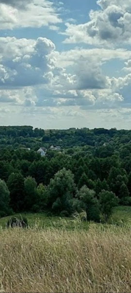 Земельний пай в Обухівський р-н село Малі Дмитровичі