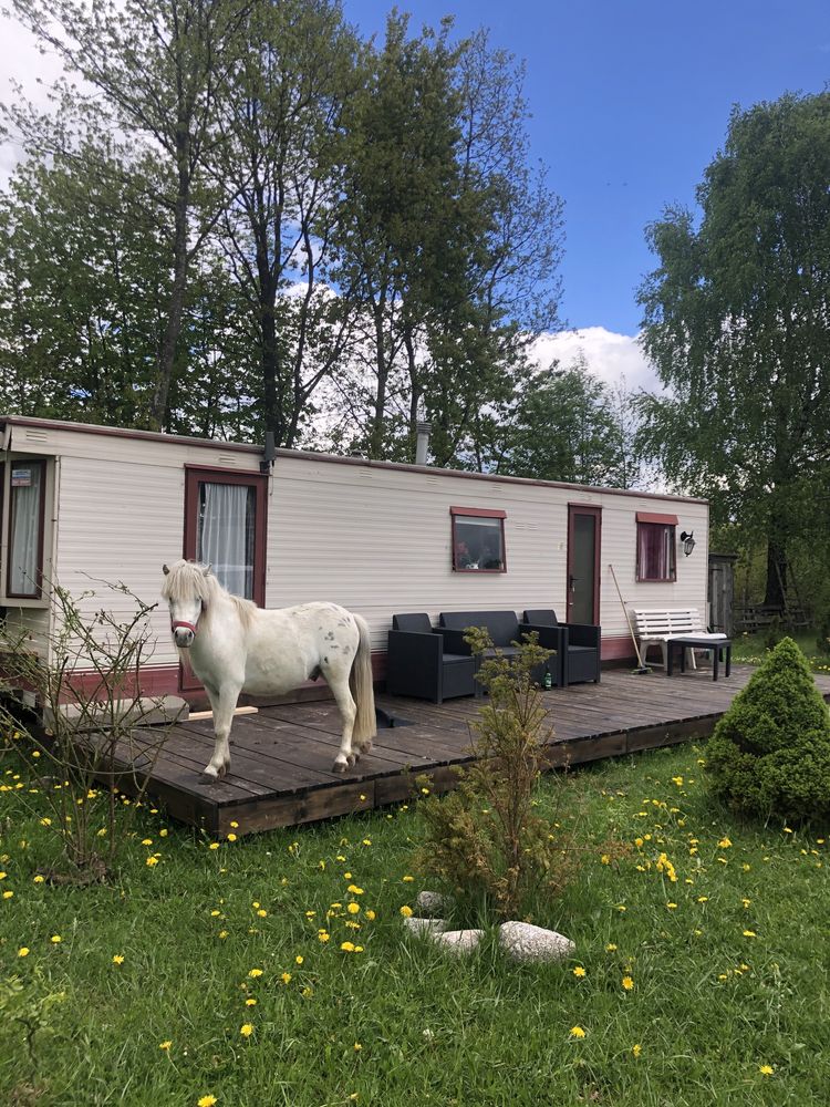 Agroturystyka nad stawami sauna i jacuzzi