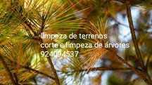 Limpeza de terrenos