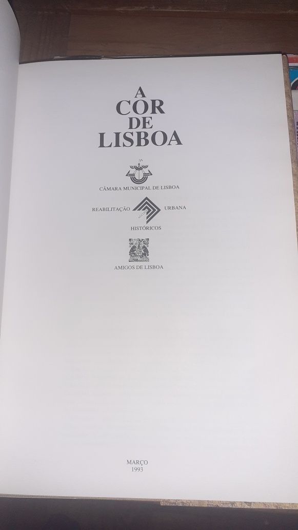 A cor de Lisboa livro Carlos botelho pintura