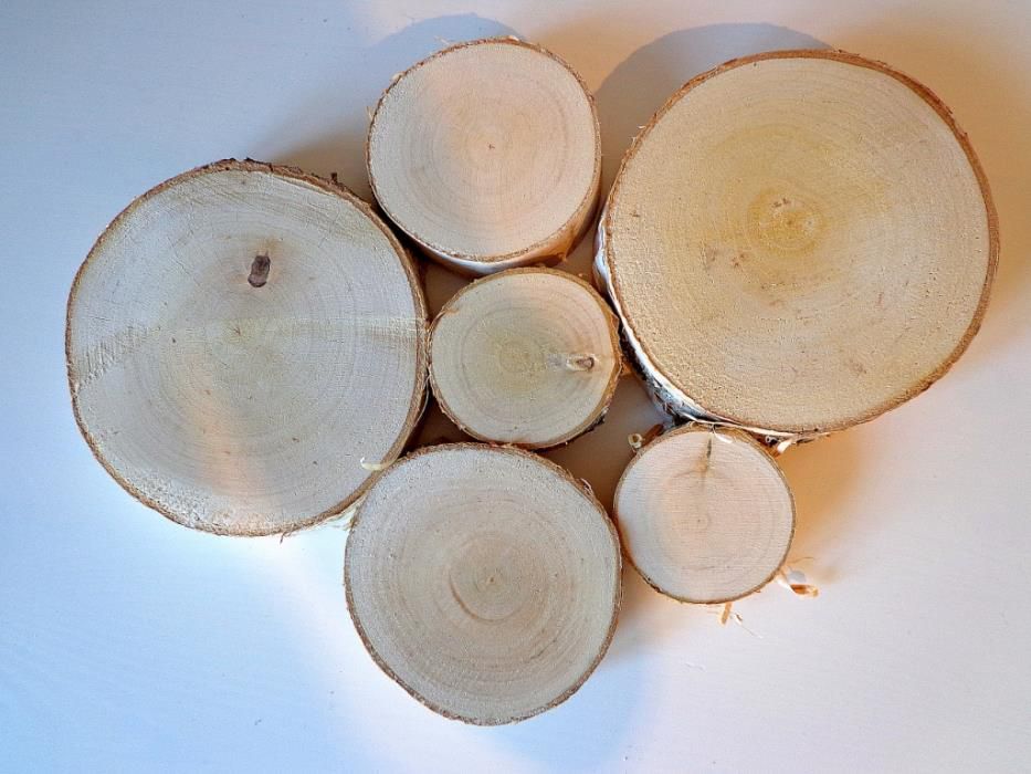 Plastery drewniane krążki drewna brzoza 15-18 cm dąb, fleki,