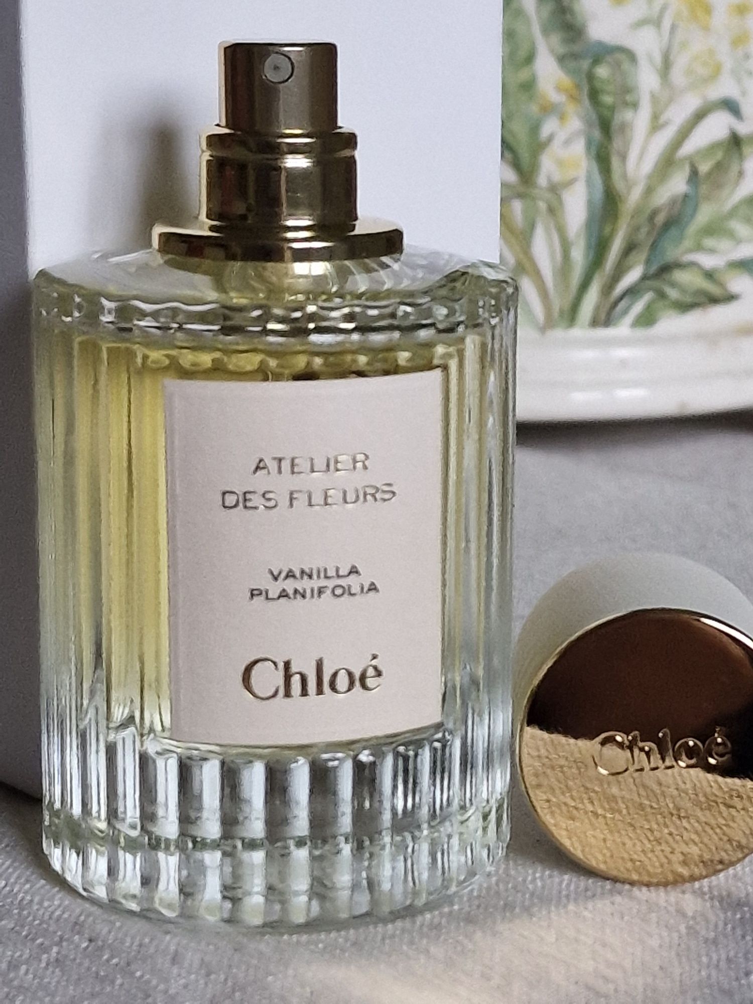 Chloe Atelier des Fleuers Vanilla Planifolia