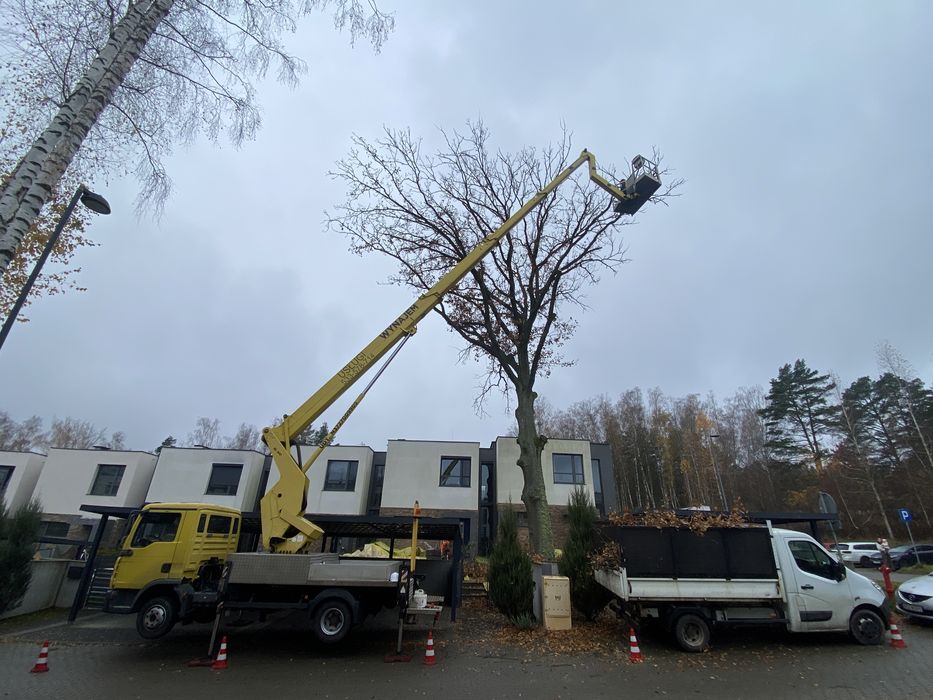 Uslugi podnosnikiem koszowym 30m wzwyzka wycinka drzew i pielegnacja