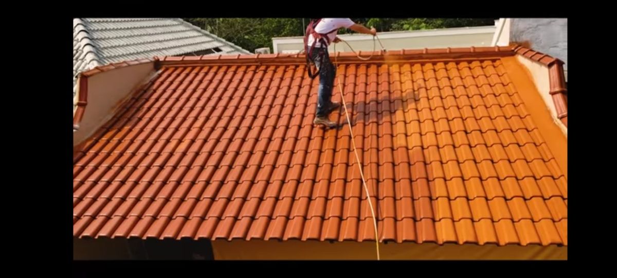 Limpezas gerais {terrenos,jardins é muito mais}