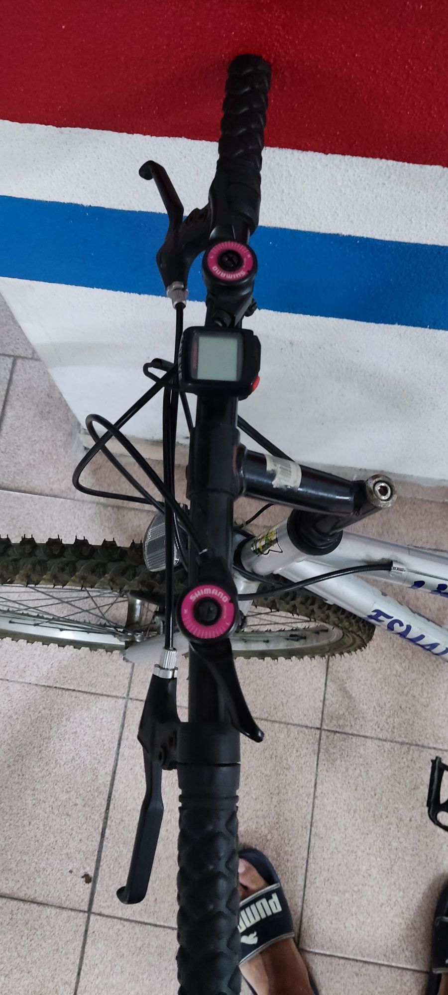 Bicicleta esmaltina modelo Livermore