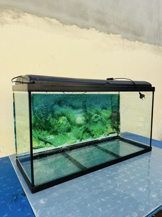 Aquário de 170 Litros