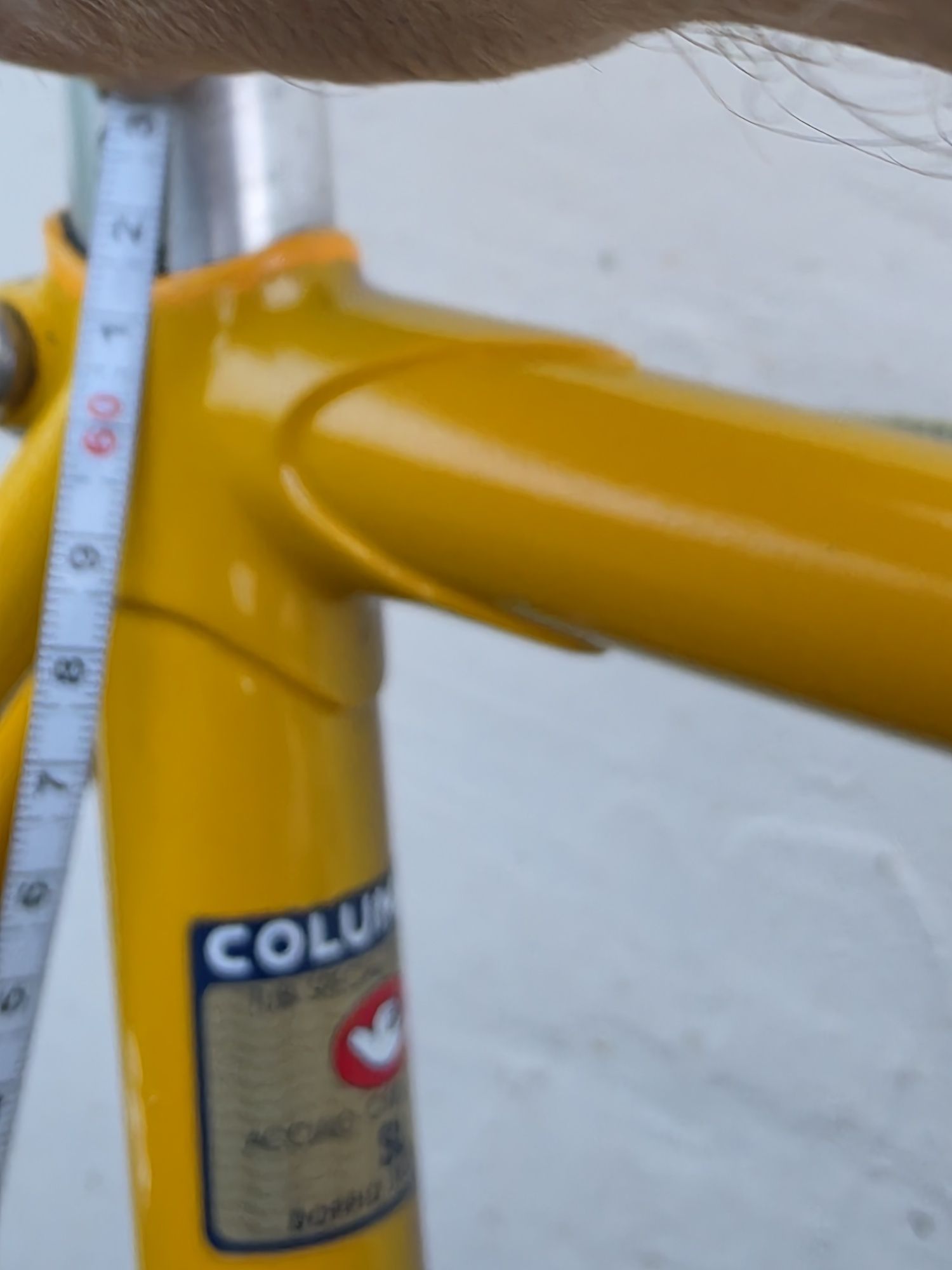 Rower Colnago retro Vitage