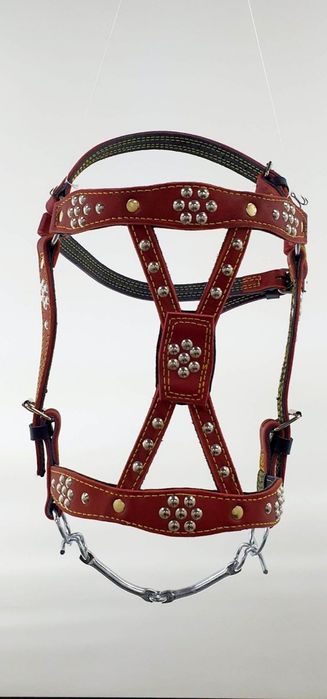 На коня Вуздечка кантарка капистра збруя упряж