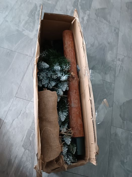 Choinka na pniu boże narodzenie