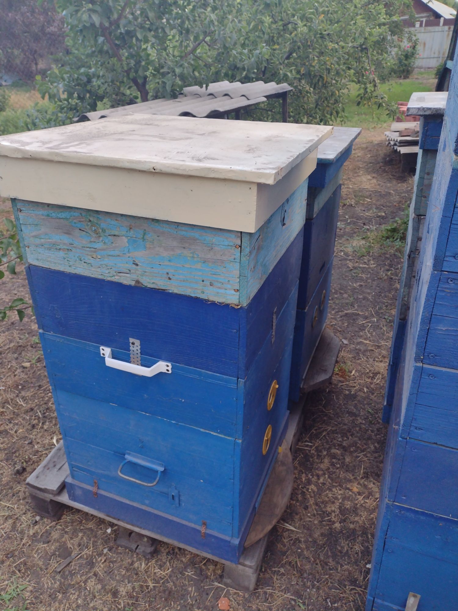 Продам улья 4 шт 1000 г-н 1