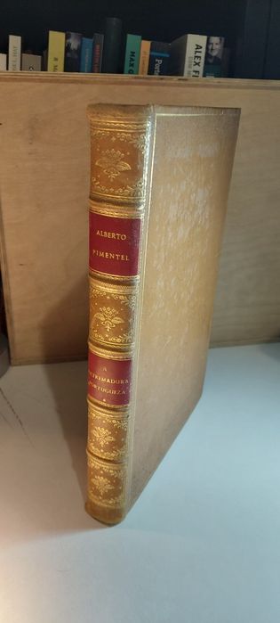 A Extremadura Portugueza - Alberto Pimentel (1ª Parte/Volume I)