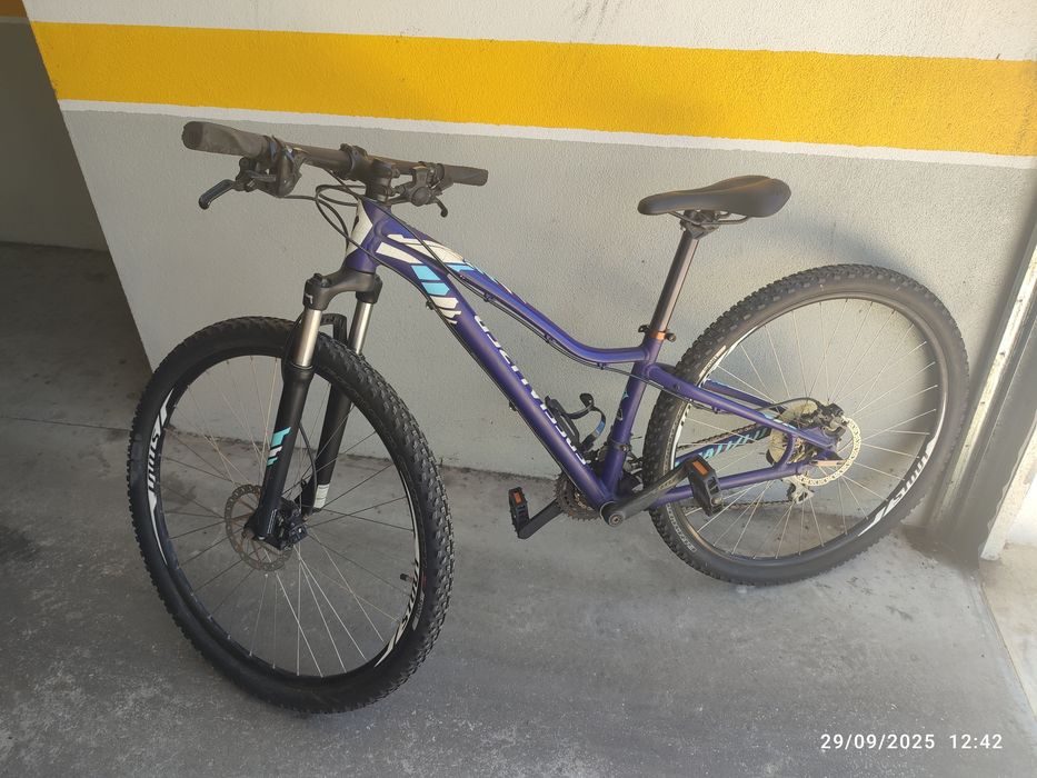 Specialized Jett 29"