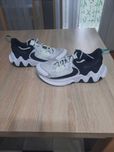 Buty NIKE GIANNIS rozmiar 41 używane
