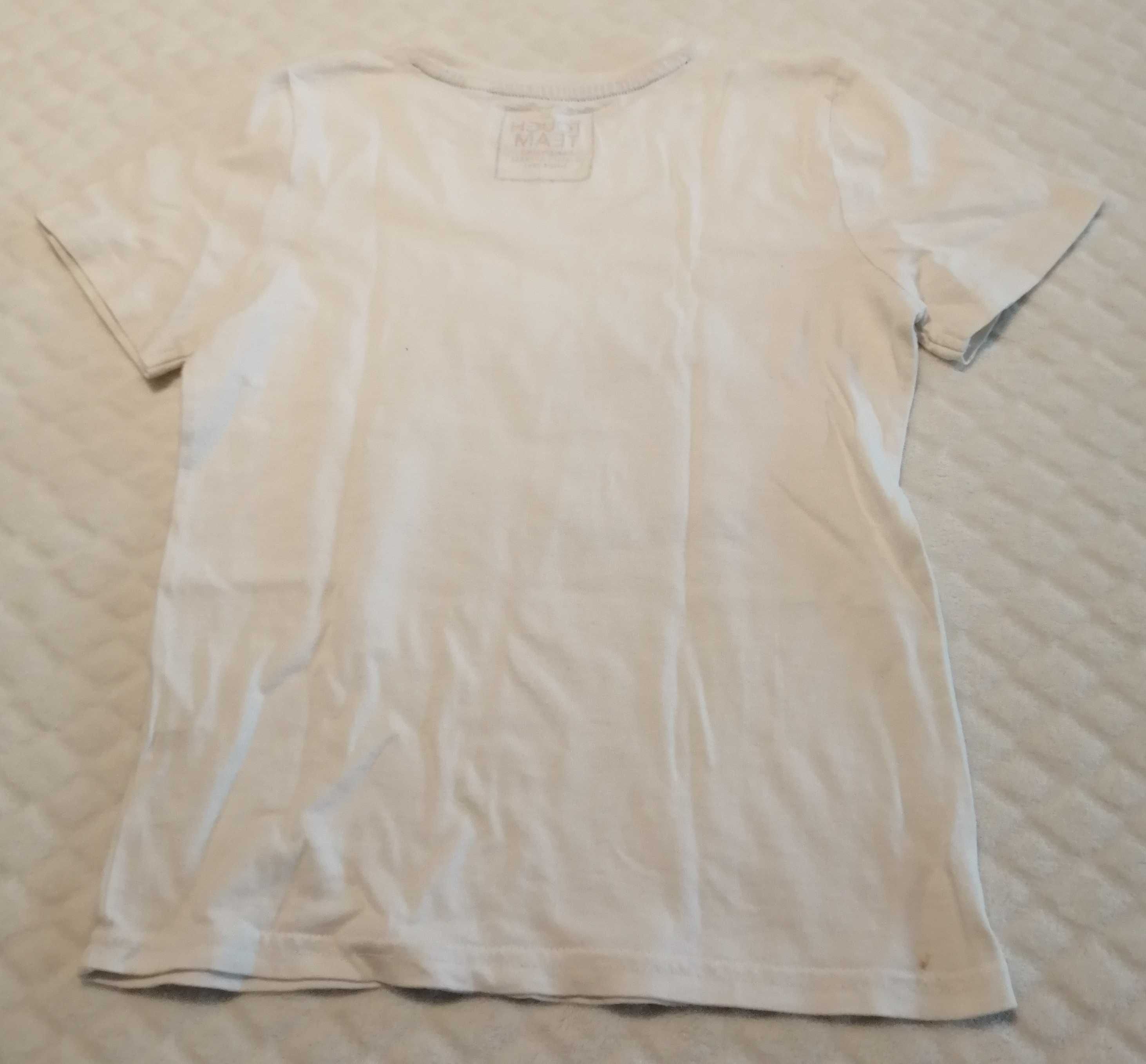 Koszulka, krótki rękaw, T-shirt, dinozaur, cekiny, 116, C&A (Odzież)
