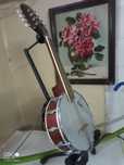 Banjos Bandolins