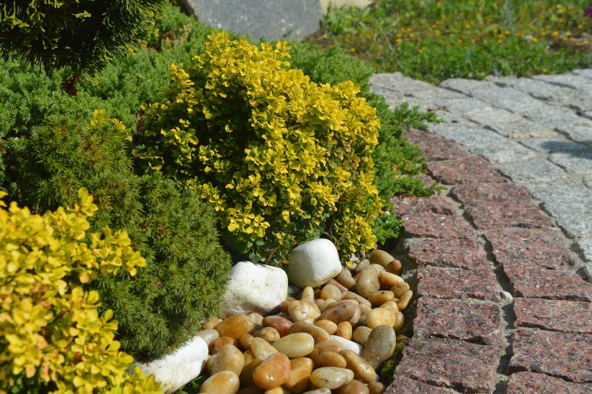 Kamień otoczak GOLD ZŁOTY do ogrodu 20kg