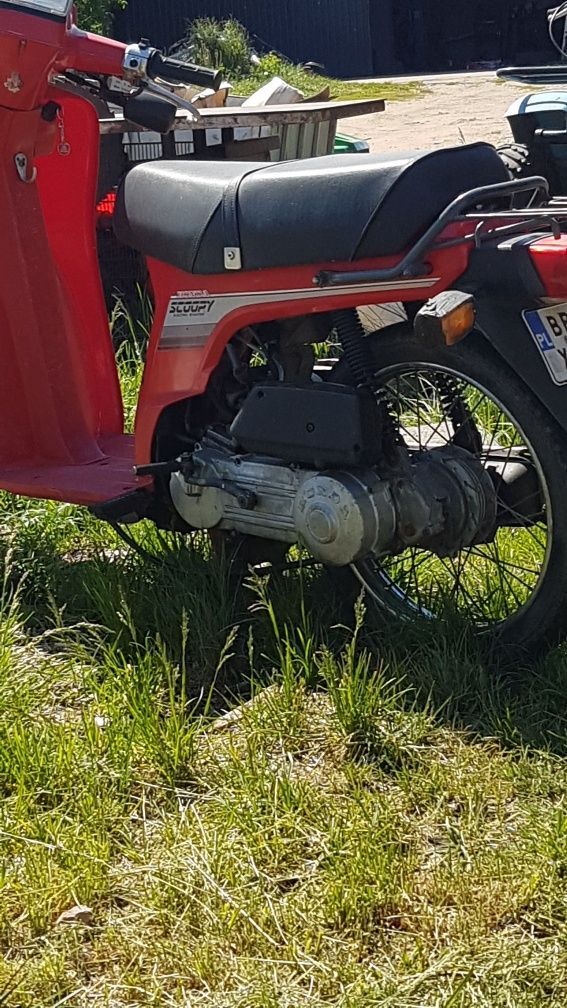 Honda sh50 x 2. scoopy lead camino. Zabytek, klasyk