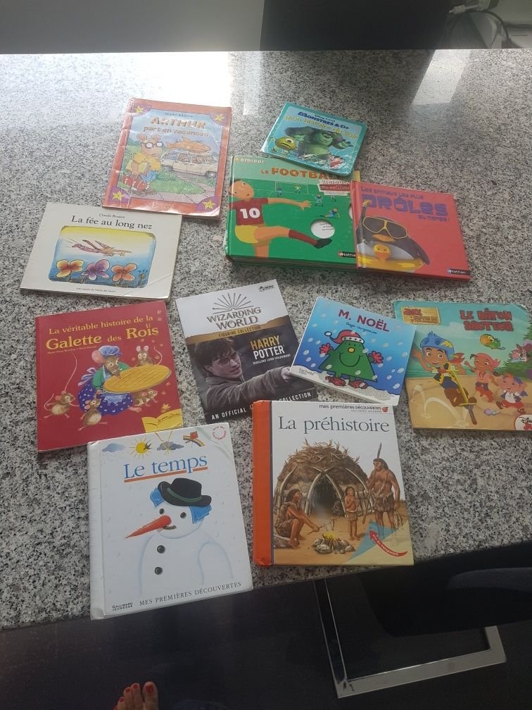 Vários livros em francês