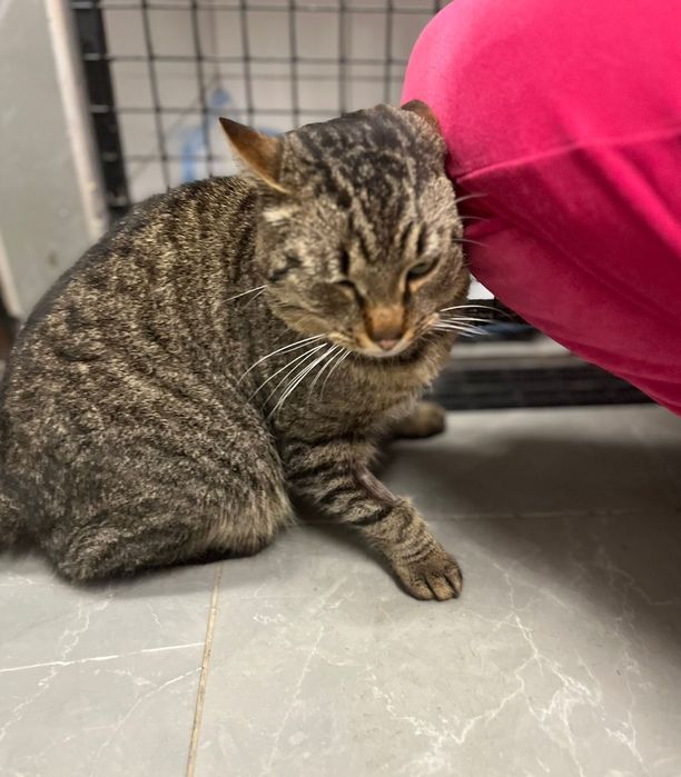 Borys błaga o szansę i dom ...