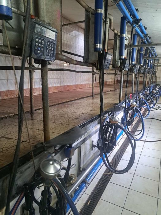 Hala udojowa de laval 10 stanowisk