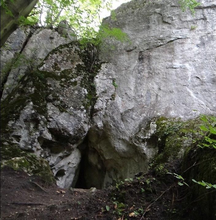 Działka leśna Kroczyce Okupne - las, skały wspinaczkowe i jaskinia