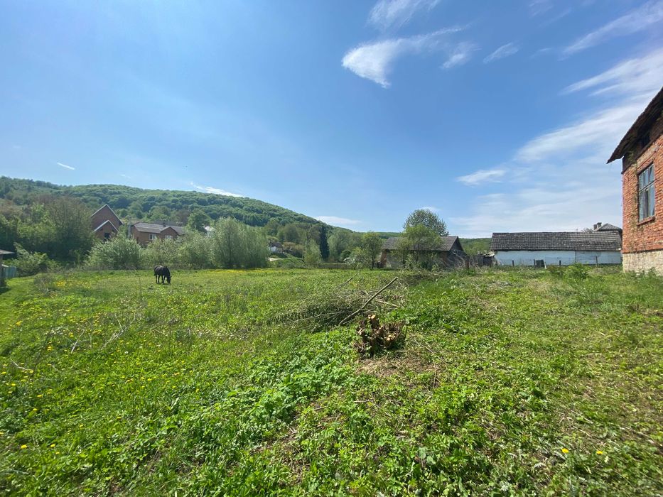 Житловий будинок з прибудинковою ділянкою