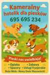 Kameralny Hotelik dla piesków