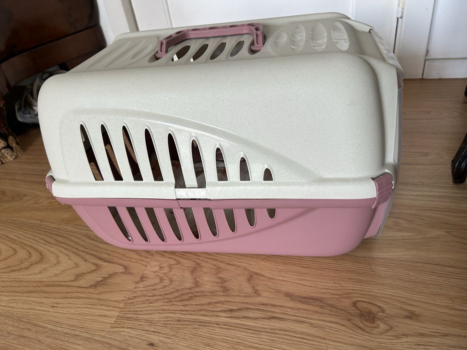 Caixa transporte gato