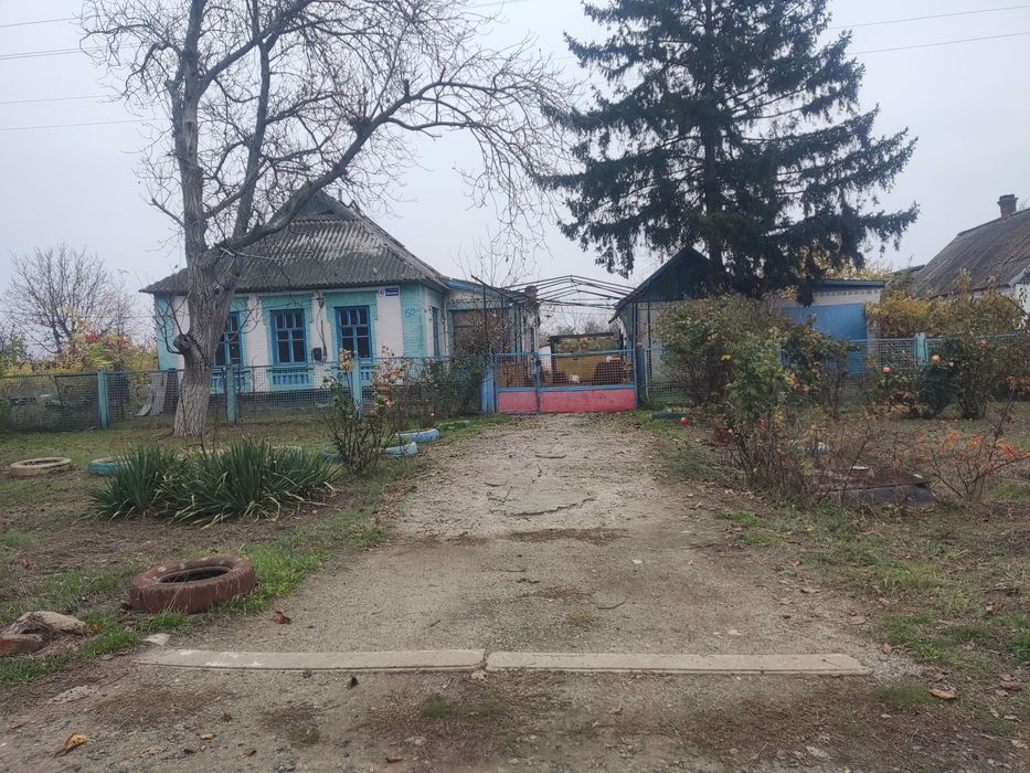 Великий будинок не подалік міста Кривий Ріг