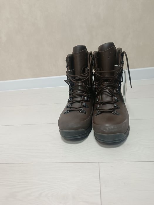 Берци зимові (Англія)