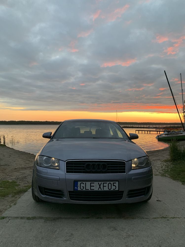 Audi a3 8p 2.0TDI