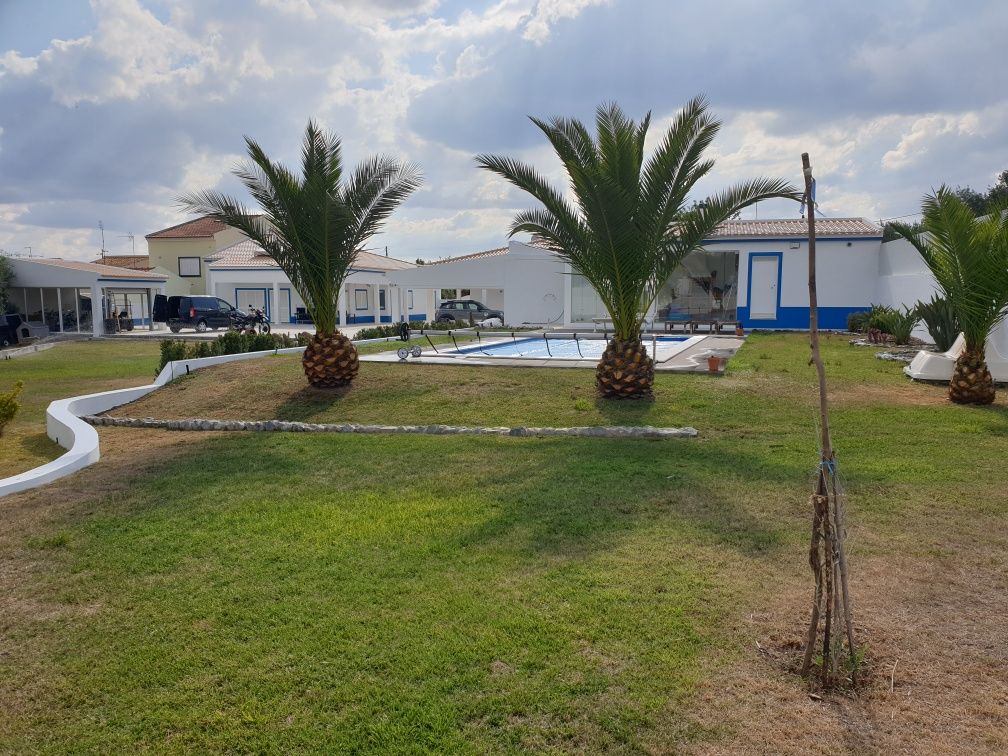 Moradia T5 com Piscina e Terreno de 1.400 m² – Galveias (Ponte de Sor)