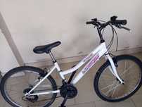 Duas bicicletas impecáveis