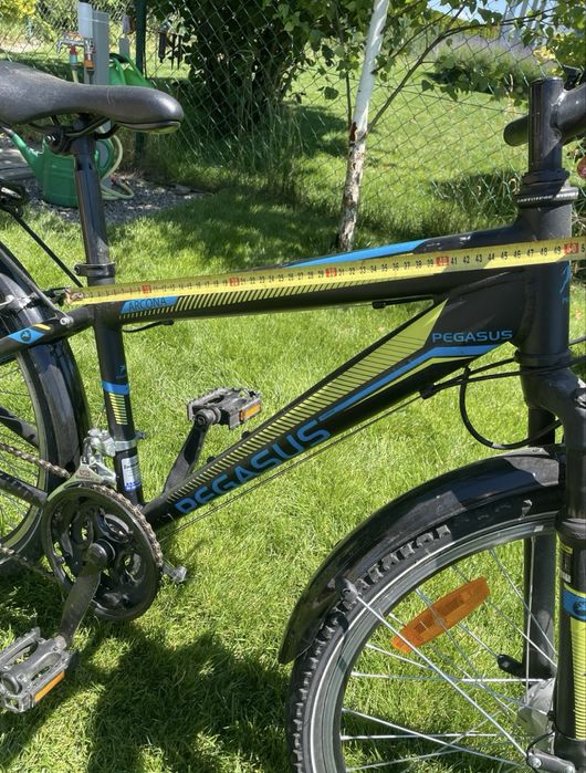 Rower Pegasus Arcona
