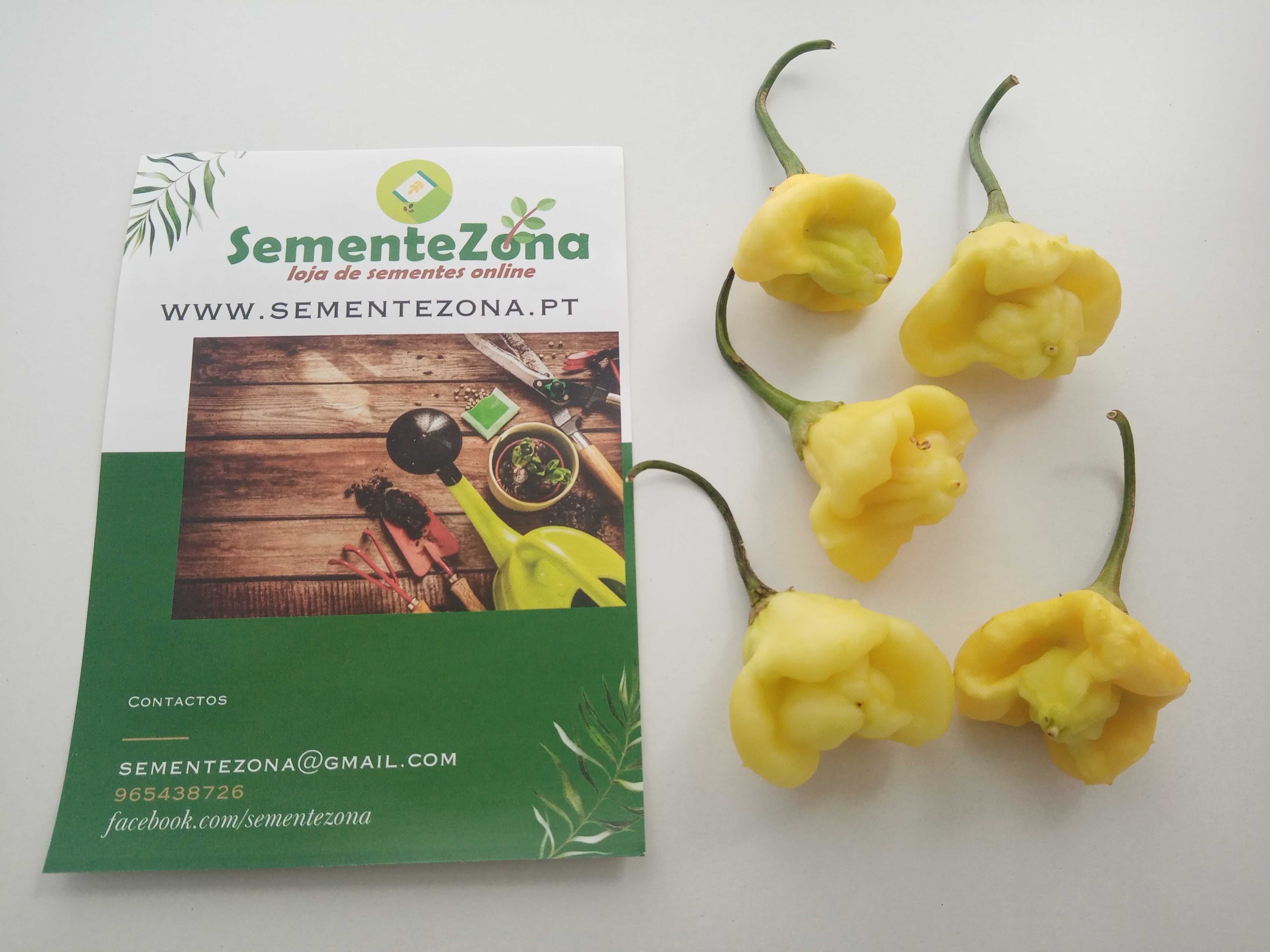 12 sementes de pimenta Aji Fantasy White (rara)