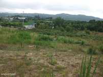 Excelente Terreno Industrial