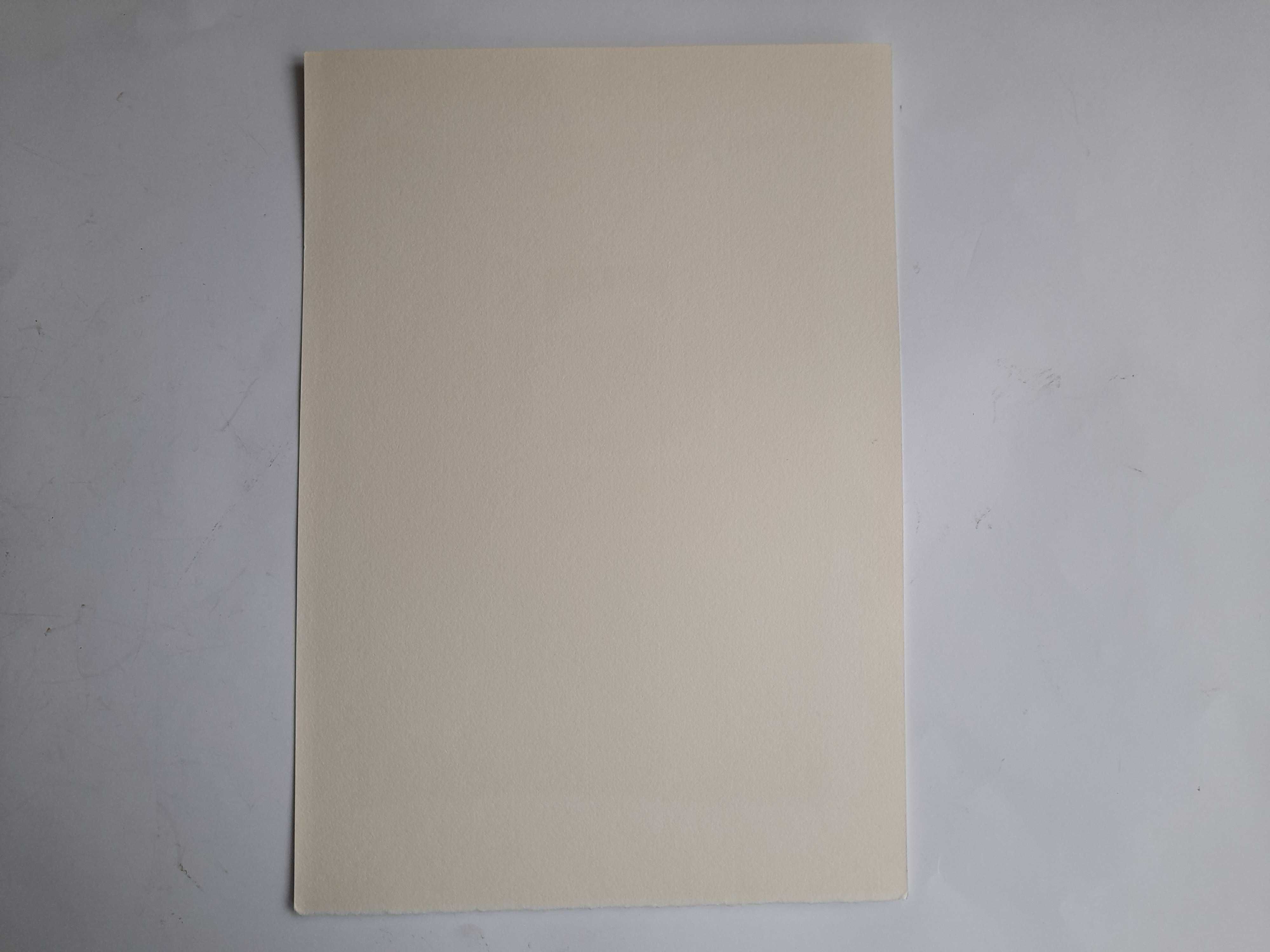 Obraz grafika Kot w oknie (sygnowana podpisem autora)
