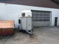 Wynajem przyczep dmc 1200 kg kat B do koni lub innych zwierząt