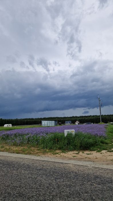 OKAZJA Sprzedam działki budowlane nad jeziorem Powidzkim Naprusewskim