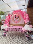 Tela, lona da minnie festa