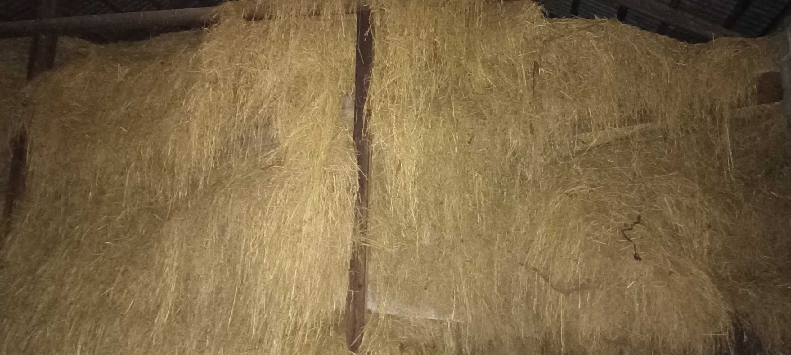 Siano, słoma, oddam za darmo