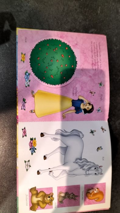 Sekrety księżniczek książka z okienkami