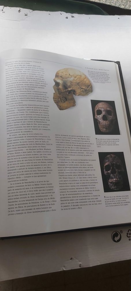 Enciclopédia Ilustrada "O AMANHECER DA HUMANIDADE: Os Primeiros Homens