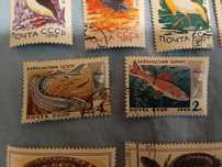 Подарю марки  рыбы ссср  риби 1966 год рік Байкальский хариус осетр
