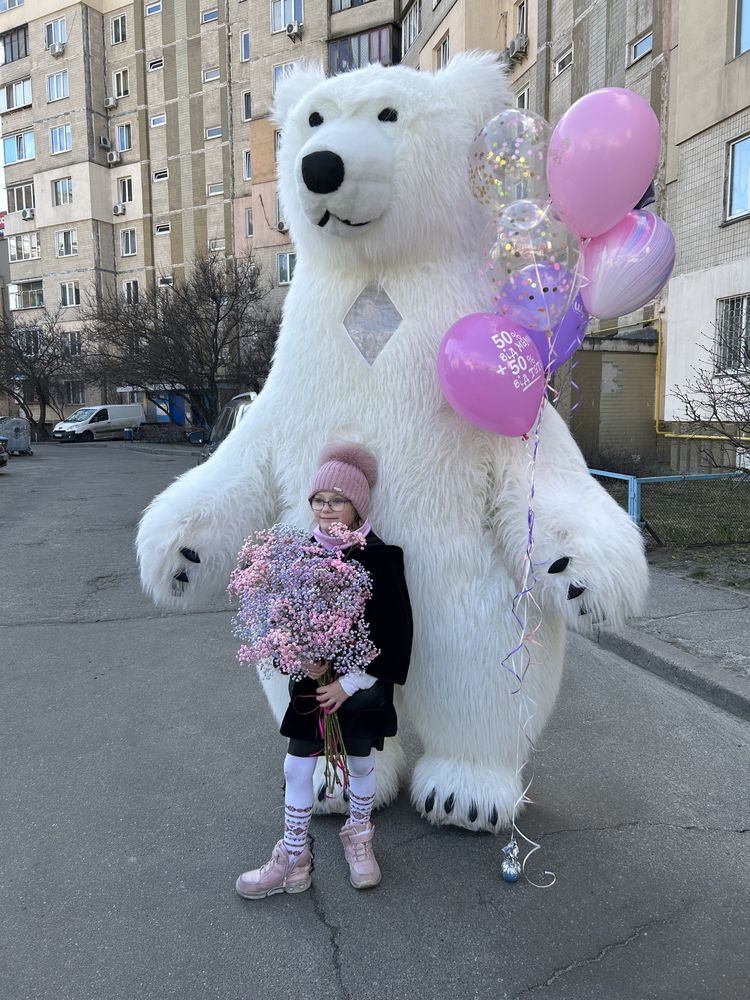 Белый медведь / Мішка Київ/ Ведмідь білий