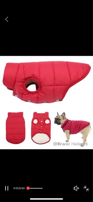 Одяг для маленьких собак і котів