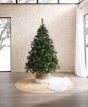 Árvore de natal Covadonga 180cm