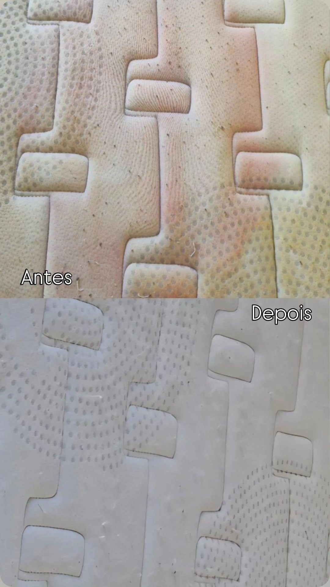 Limpeza e Higienização de Estofos